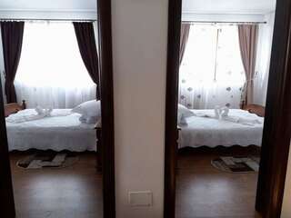 Виллы Pensiunea Putnisoara Putnişoara Двухместный номер с 1 кроватью и собственной ванной комнатой-13